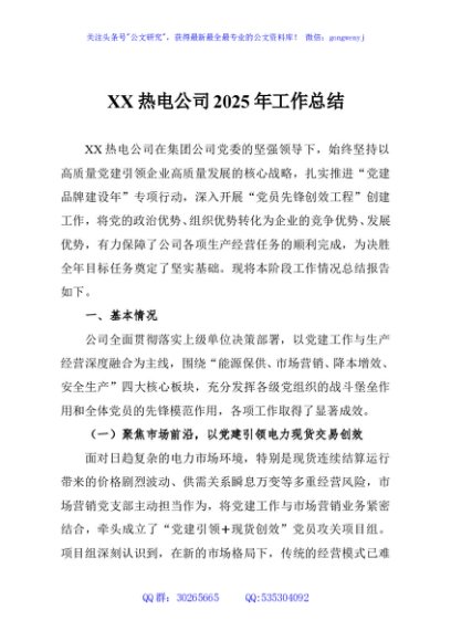 XX热电公司2025年工作总结