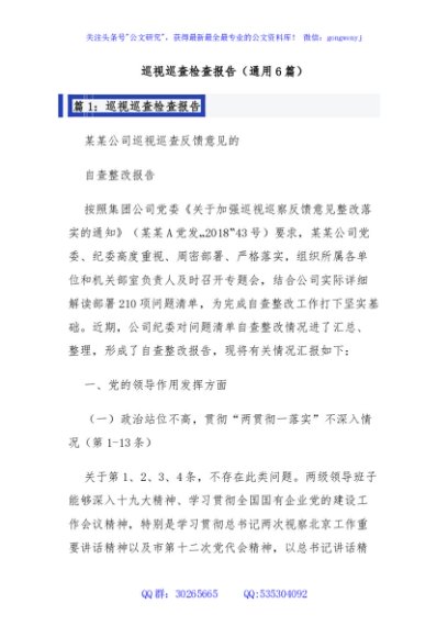 巡视巡查检查报告（通用6篇）