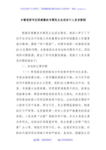 乡镇党委书记巡察整改专题民主生活会个人发言提纲