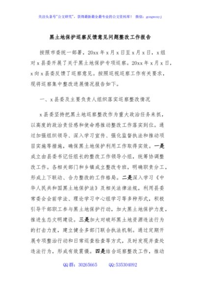 黑土地保护巡察反馈意见问题整改工作报告