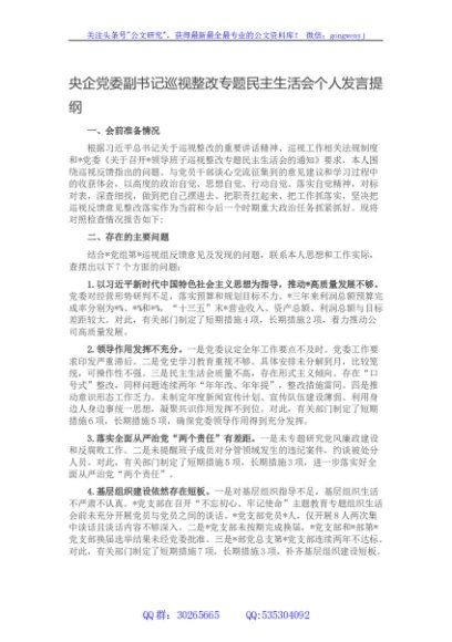 央企党委副书记巡视整改专题民主生活会个人发言提纲