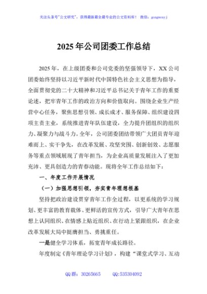 2025年公司团委工作总结