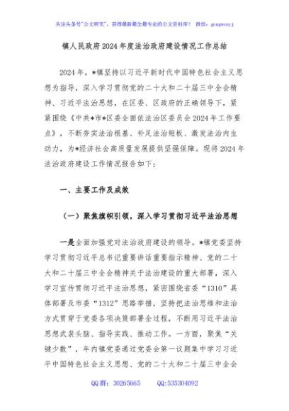 镇人民政府2024年度法治政府建设情况工作总结
