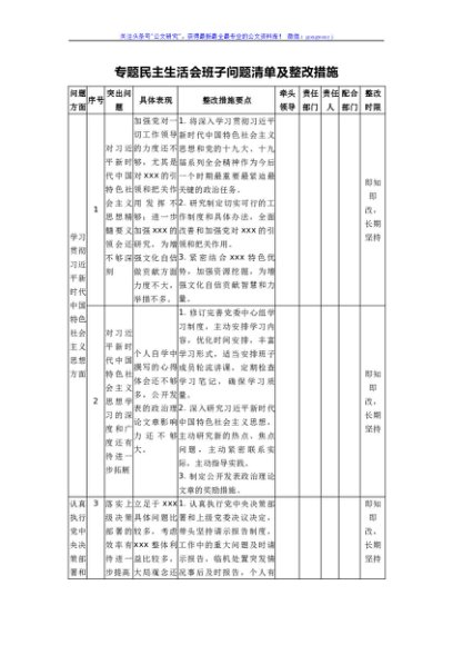 专题民主生活会班子问题清单及整改措施