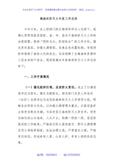 镇森林防灭火年度工作总结