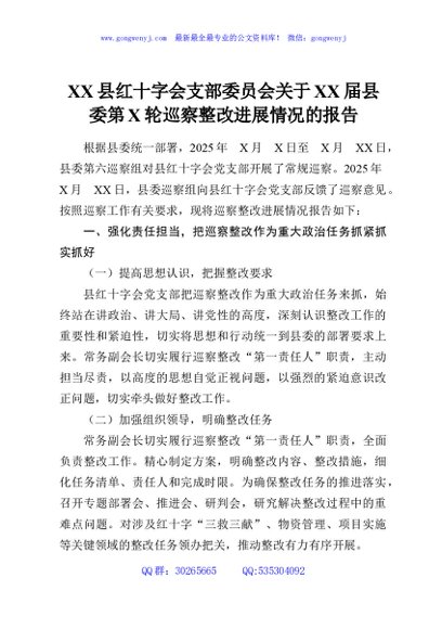 XX县红十字会支部委员会关于XX届县委第X轮巡察整改进展情况的报告