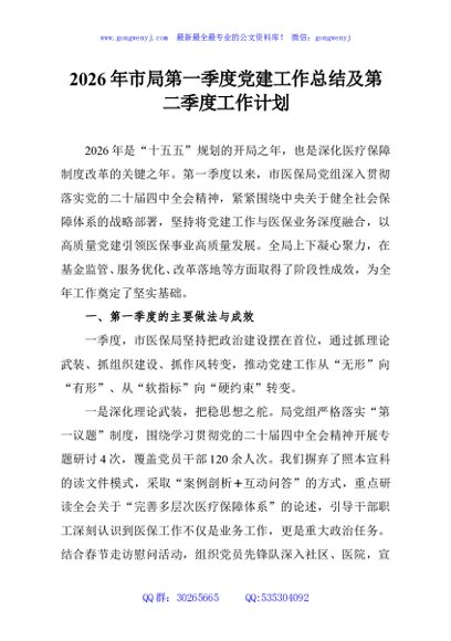 2026年市局第一季度党建工作总结及第二季度工作计划