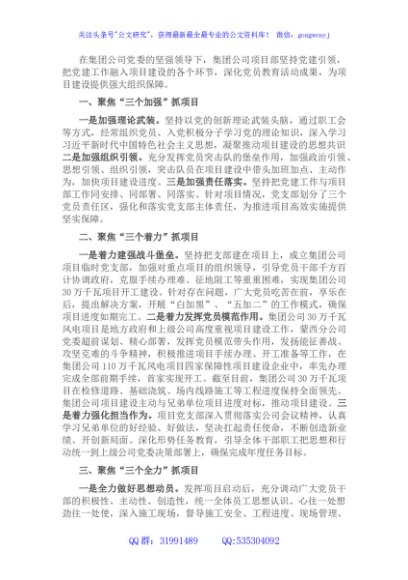 国企坚持党建引领抓项目建设发言材料