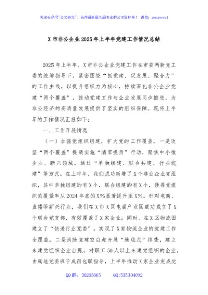 X市非公企业2025年上半年党建工作情况总结