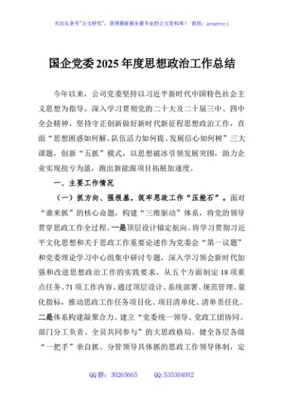国企党委2025年度思想政治工作总结