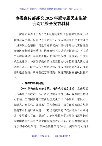 市委宣传部部长2025年度专题民主生活会对照检查发言材料