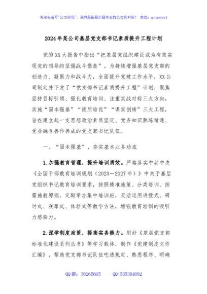 2024年某公司基层党支部书记素质提升工程计划