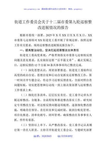 街道工作委员会关于十二届市委第九轮巡察整改进展情况的报告