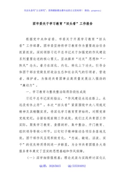团市委关于学习教育“回头看”工作报告