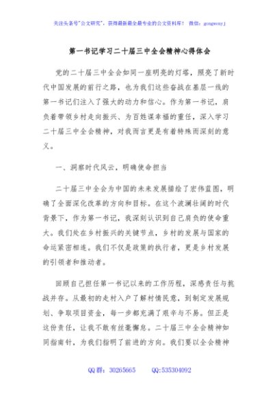 第一书记学习二十届三中全会精神心得体会