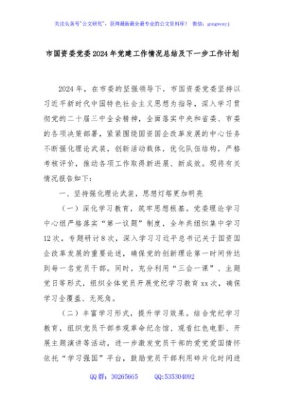 市国资委党委2024年党建工作情况总结及下一步工作计划