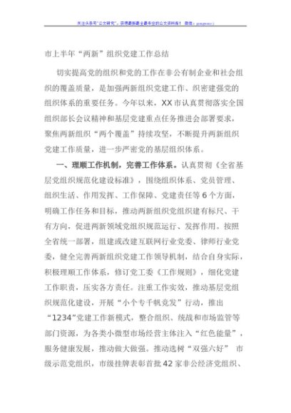 市上半年“两新”组织党建工作总结