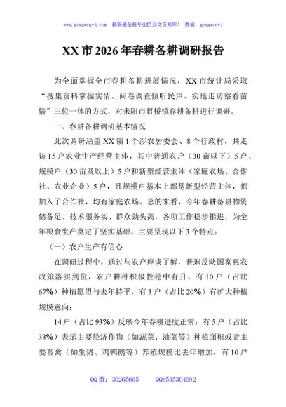 XX市2026年春耕备耕调研报告