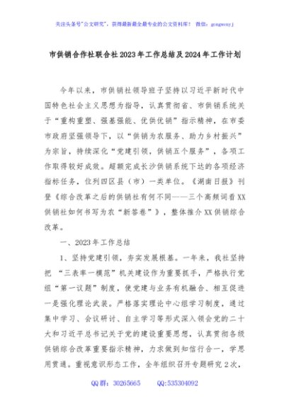 市供销合作社联合社2023年工作总结及2024年工作计划