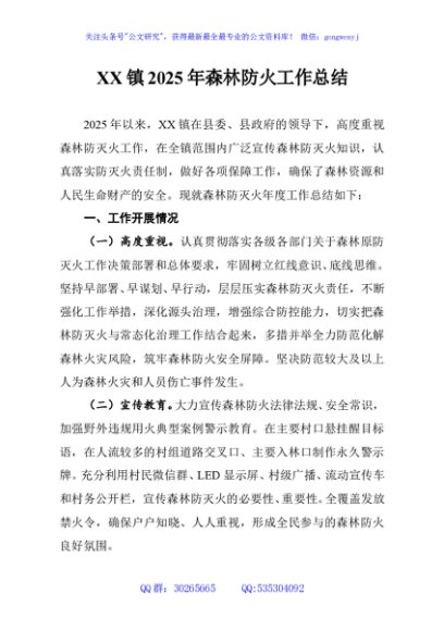 XX镇2025年森林防火工作总结