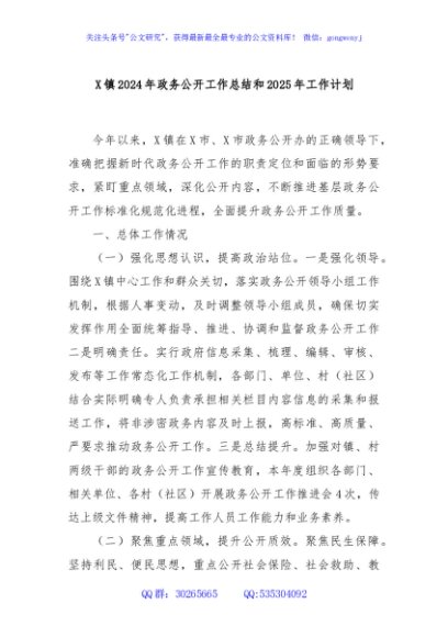 X镇2024年政务公开工作总结和2025年工作计划