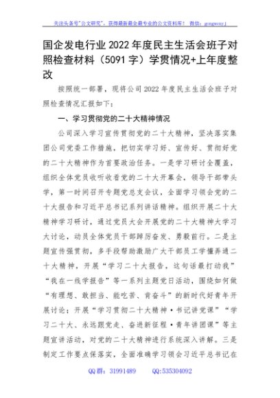 国企发电行业2022年度民主生活会班子对照检查材料