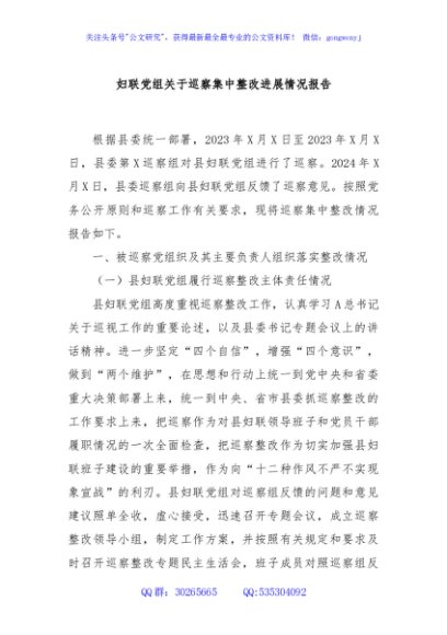 妇联党组关于巡察集中整改进展情况报告