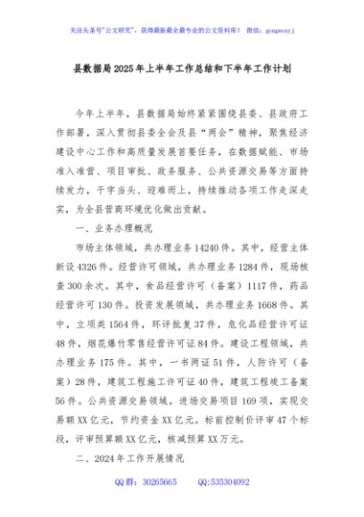 县数据局2025年上半年工作总结和下半年工作计划