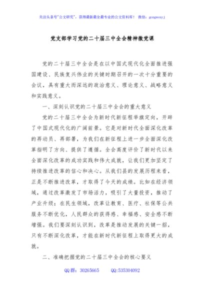 党支部学习党的二十届三中全会精神微党课