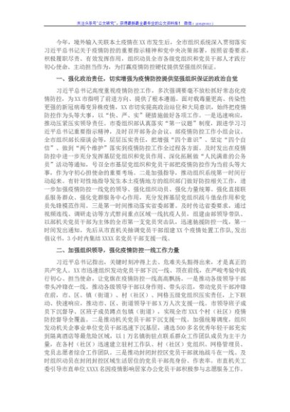 XX市疫情防控年度工作汇报