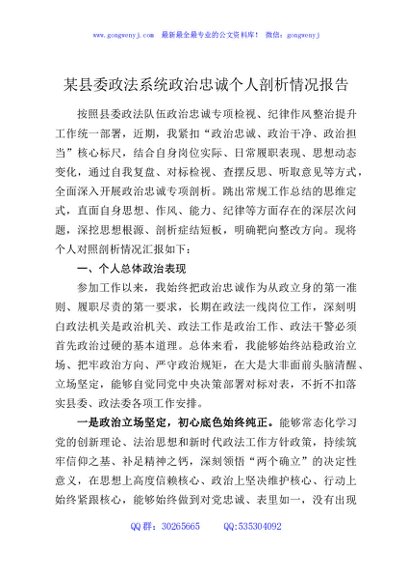 某县委政法系统政治忠诚个人剖析情况报告
