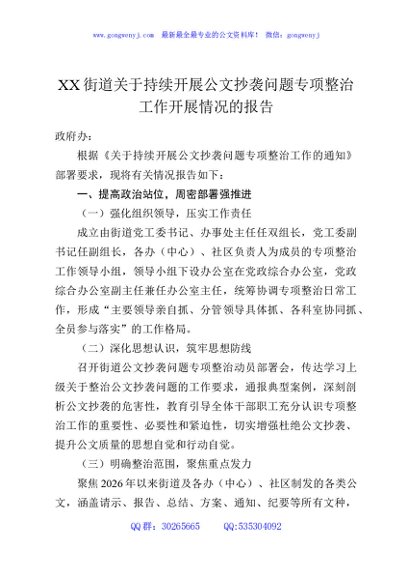 XX街道关于持续开展公文抄袭问题专项整治工作开展情况的报告
