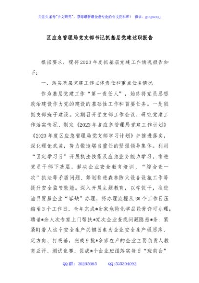 区应急管理局党支部书记抓基层党建述职报告