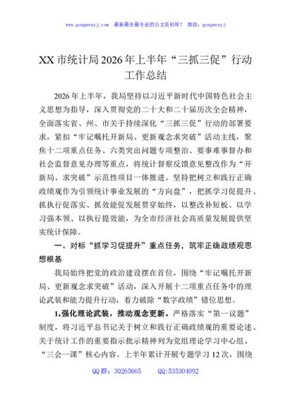 XX市统计局2026年上半年“三抓三促”行动工作总结