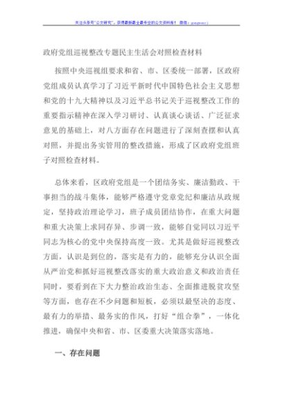 政府党组巡视整改专题民主生活会对照检查材料