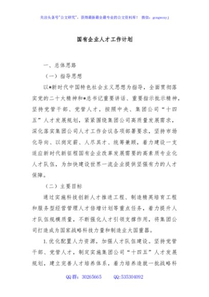国有企业人才工作计划