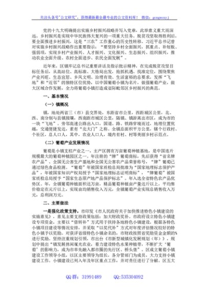 镇产业振兴典型案例