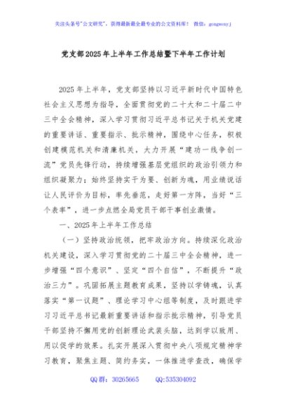 党支部2025年上半年工作总结暨下半年工作计划