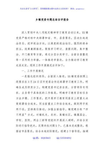 乡镇党委专题总结自评报告