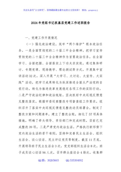 2024年党组书记抓基层党建工作述职报告