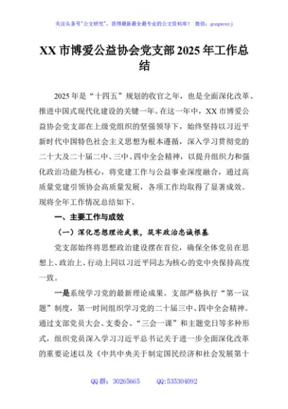 XX市博爱公益协会党支部2025年工作总结