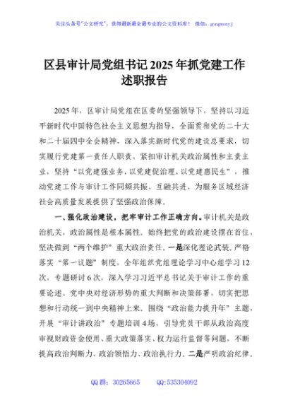 区县审计局党组书记2025年抓党建工作述职报告