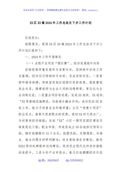 XX区XX镇2024年工作总结及下步工作计划