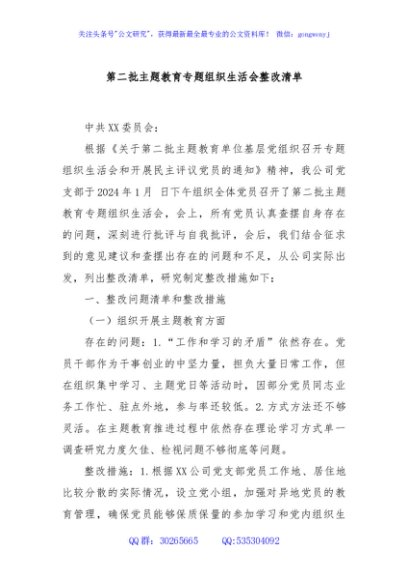 第二批主题教育专题组织生活会整改清单.