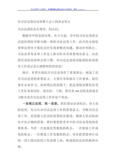 在司法巡查动员部署大会上的表态发言