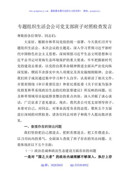 专题组织生活会公司党支部班子对照检查发言
