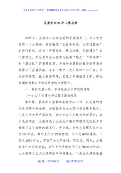 县委办2024年工作总结