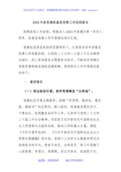 2024年度某镇抓基层党建工作述职报告