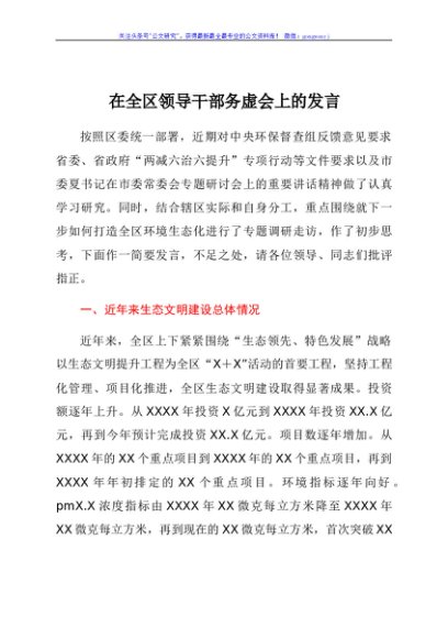 在全区领导干部务虚会上的发言