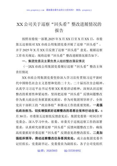 XX公司关于巡察“回头看”整改进展情况的报告